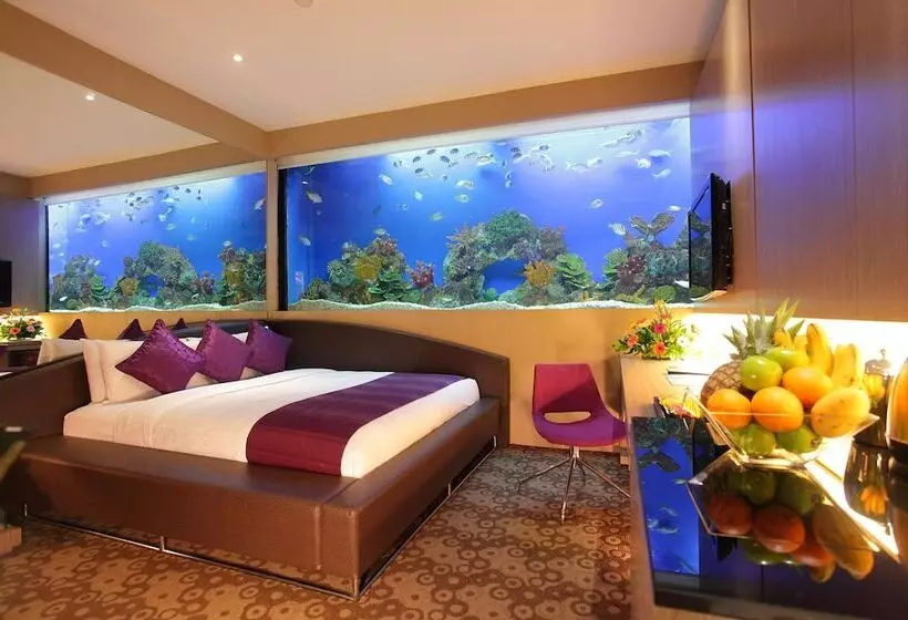 Standard-huone, H2o