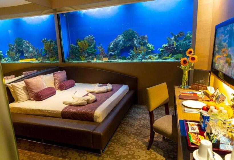 اتاق استاندارد, H2o