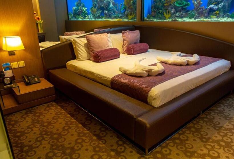 اتاق استاندارد, H2o