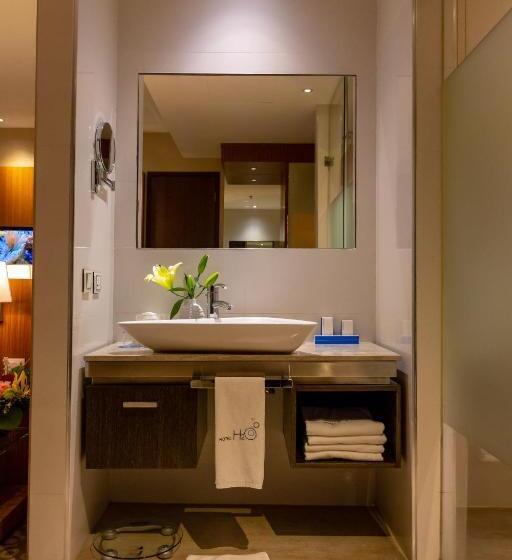 اتاق استاندارد با تخت بزرگ, H2o