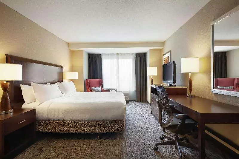 Standard-huone King-vuode, Hilton Garden Inn Atlanta Downtown
