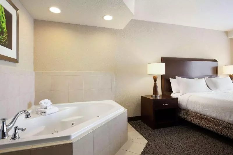 Standard-huone King-vuode, Hilton Garden Inn Atlanta Downtown