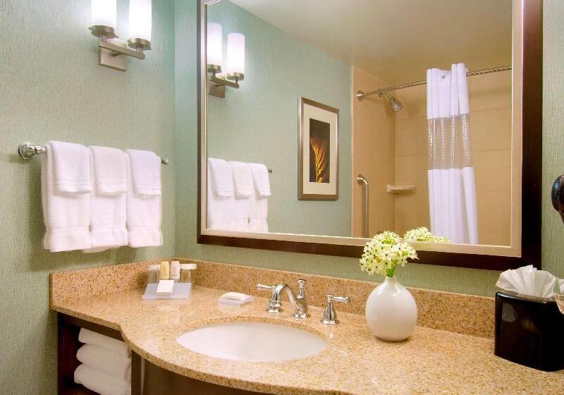 스탠다드 룸 킹사이즈 침대, Hilton Garden Inn Atlanta Downtown