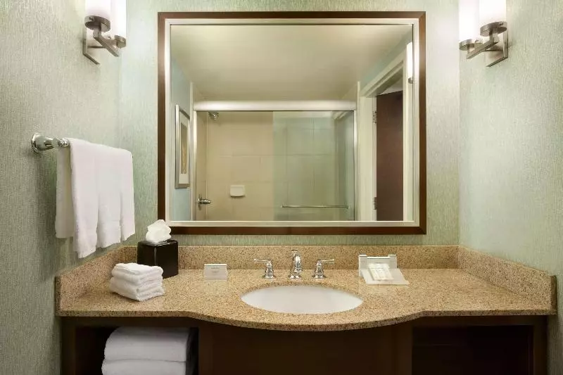 Premium-huone, Hilton Garden Inn Atlanta Downtown