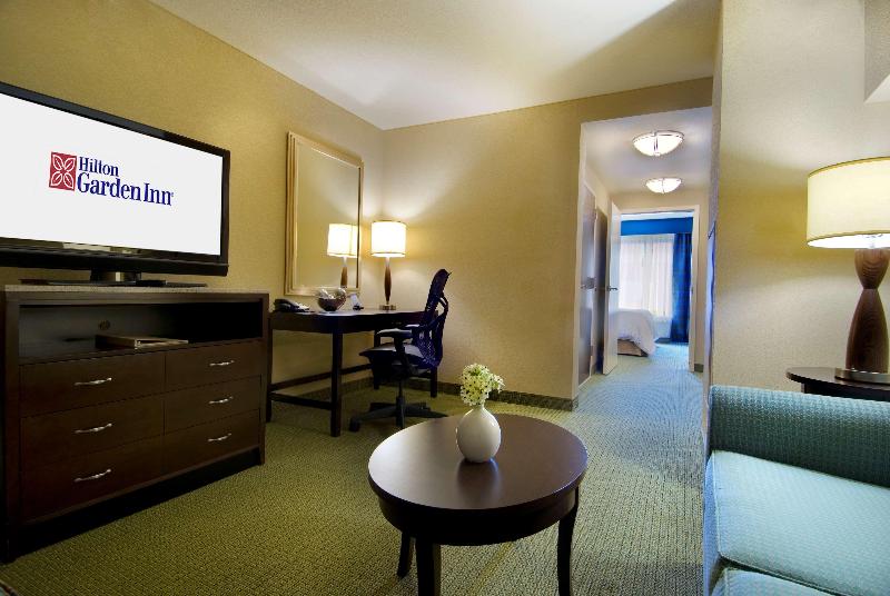 キングサイズベッドのジュニアスイート, Hilton Garden Inn Atlanta Downtown