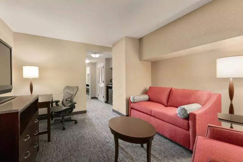 Juniorsviitti King-vuode, Hilton Garden Inn Atlanta Downtown