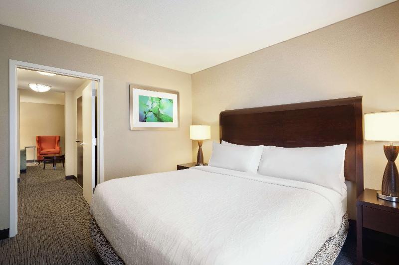 Júnior Suíte Cama King, Hilton Garden Inn Atlanta Downtown
