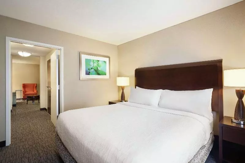 Juniorsviitti King-vuode, Hilton Garden Inn Atlanta Downtown