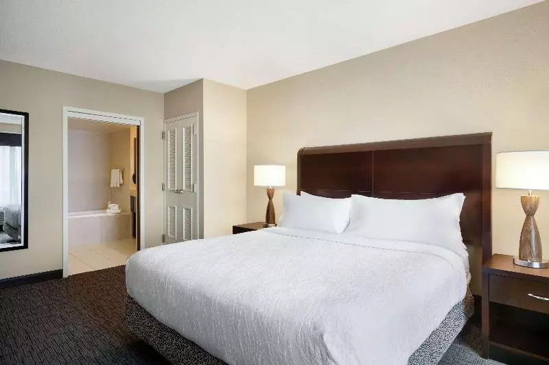 Juniorsviitti King-vuode, Hilton Garden Inn Atlanta Downtown