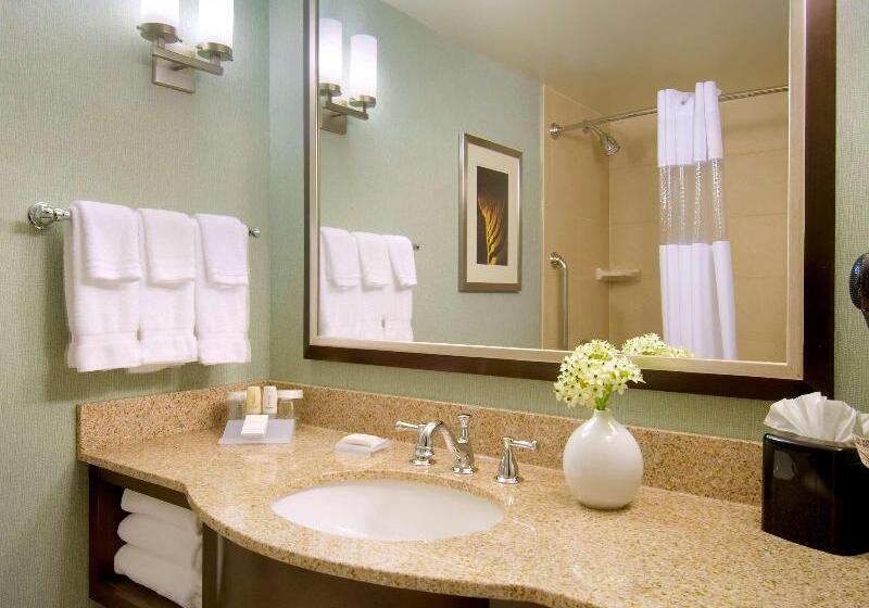 キングサイズベッドのスタンダードルーム, Hilton Garden Inn Atlanta Downtown