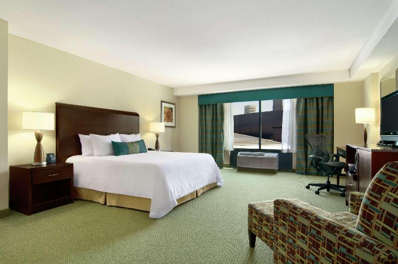 キングサイズベッドのスタンダードルーム, Hilton Garden Inn Atlanta Downtown