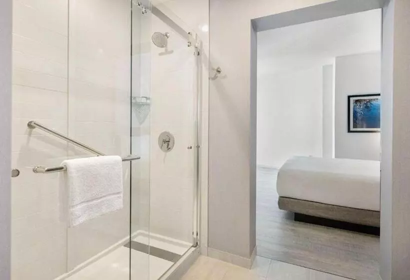 سوئیت با تخت بزرگ, Hyatt Place West Palm Beach
