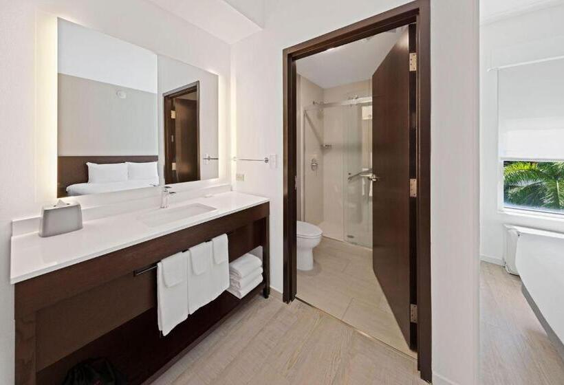 带大床的标准间, Hyatt Place West Palm Beach