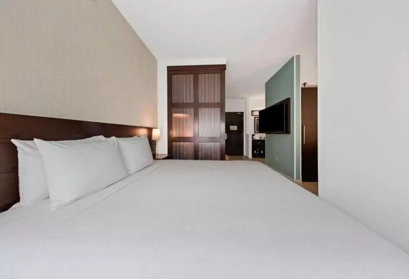 اتاق استاندارد با تخت بزرگ, Hyatt Place West Palm Beach