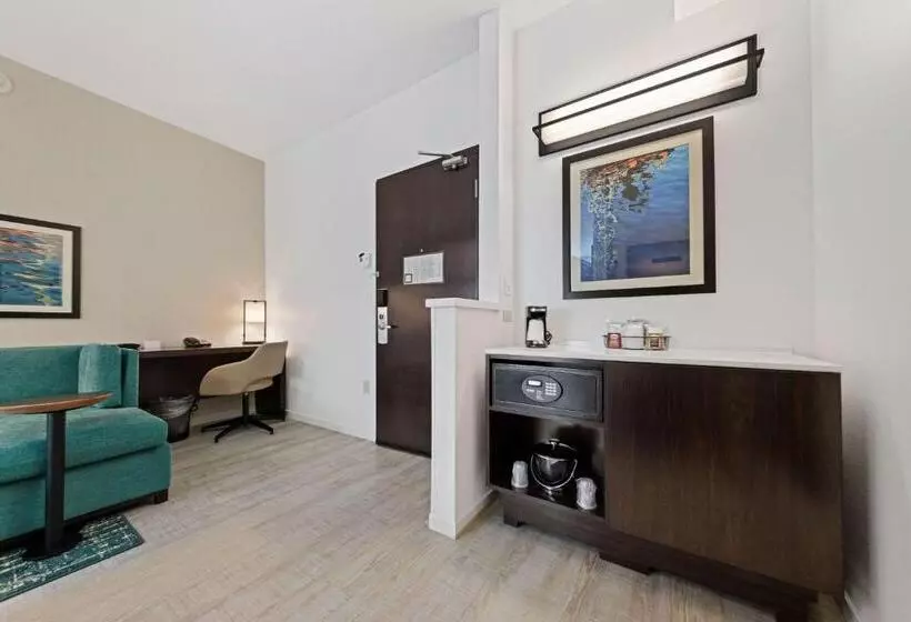 اتاق استاندارد با تخت بزرگ, Hyatt Place West Palm Beach