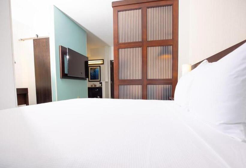 身障者適用スタンダードルーム, Hyatt Place West Palm Beach