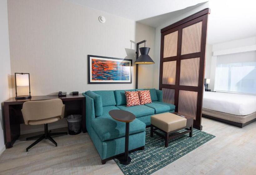 适合残疾人使用的标准间, Hyatt Place West Palm Beach
