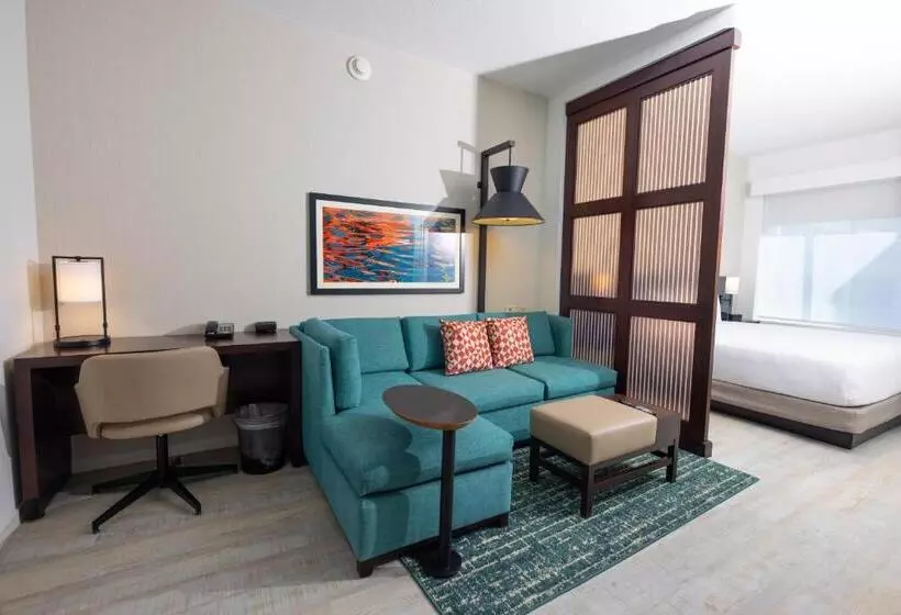 اتاق استاندارد برای معلولان, Hyatt Place West Palm Beach