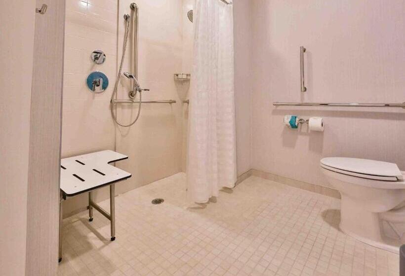 身障者適用スタンダードルーム, Hyatt Place West Palm Beach