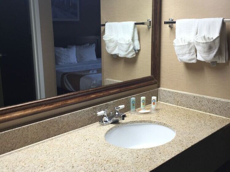 غرفه قياسيه سريرين مزدوجين, Quality Inn Elgin I90