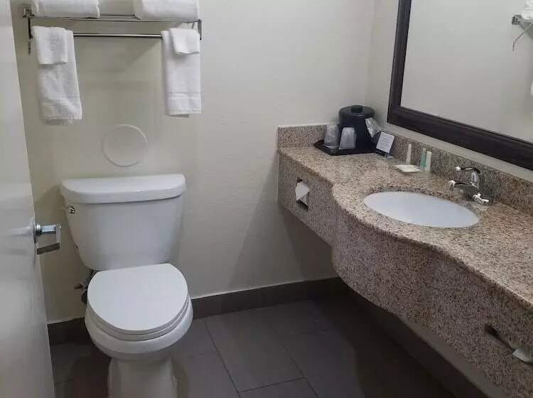 ２ダブルベッドのスタンダードルーム, Quality Inn Prattville I65