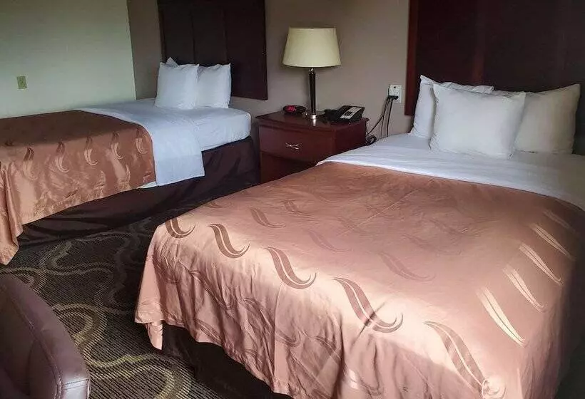 ２ダブルベッドのスタンダードルーム, Quality Inn Prattville I65