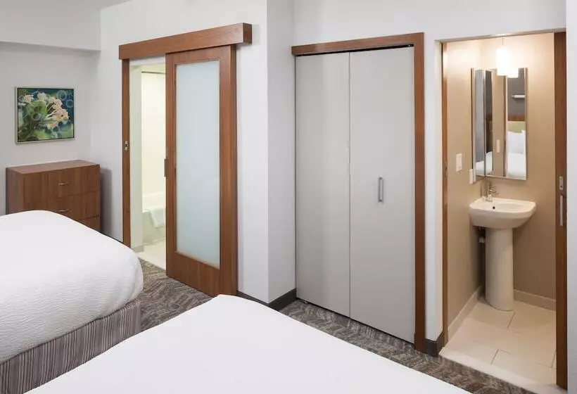 スタンダードスタジオ, Springhill Suites By Marriott Orlando At Seaworld