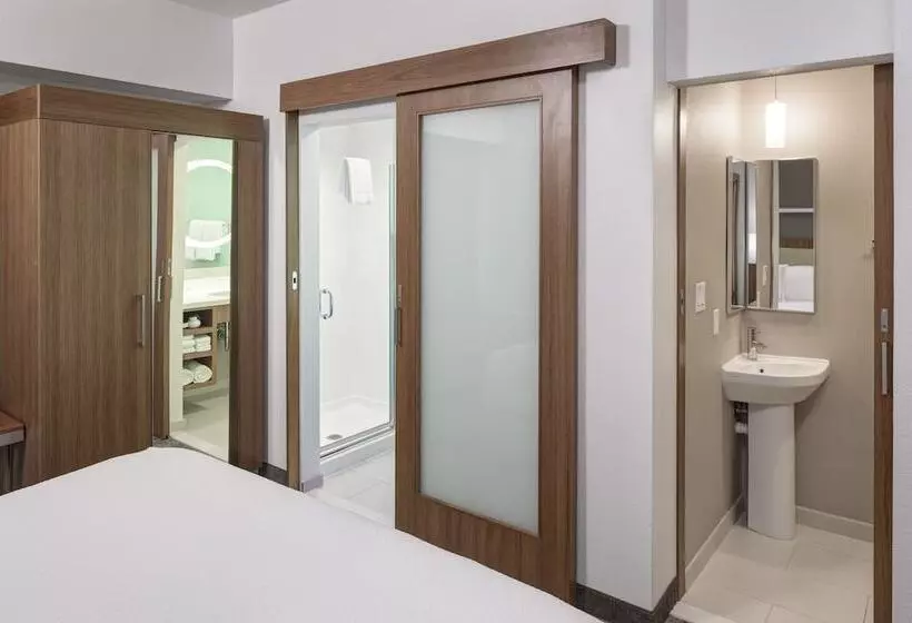 スタンダードスタジオ, Springhill Suites By Marriott Orlando At Seaworld