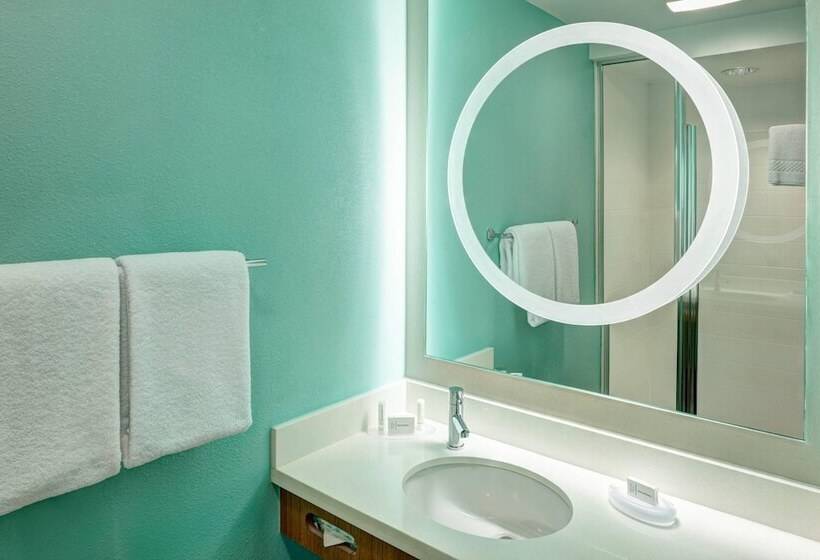 스탠다드 스튜디오, Springhill Suites By Marriott Orlando At Seaworld