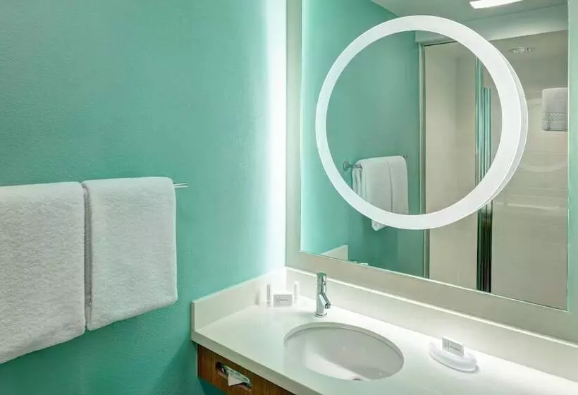 スタンダードスタジオ, Springhill Suites By Marriott Orlando At Seaworld