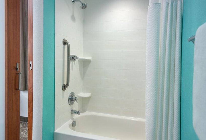 标准工作室, Springhill Suites By Marriott Orlando At Seaworld