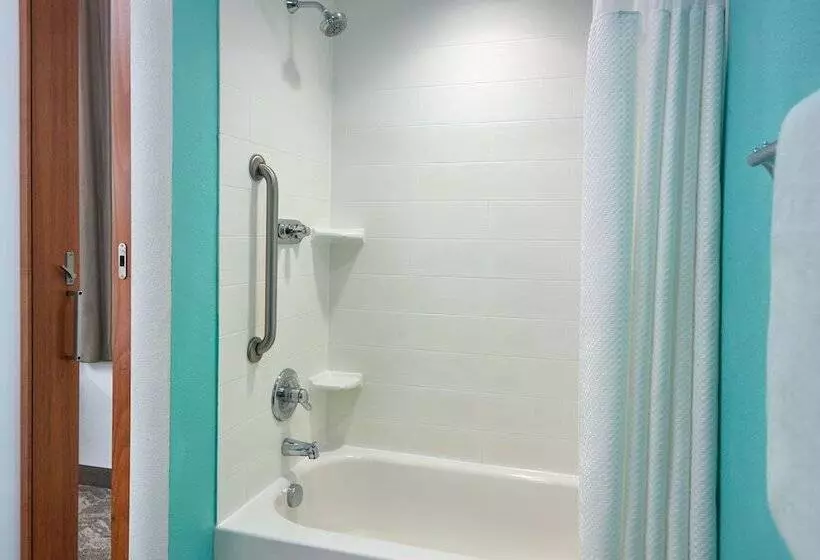 スタンダードスタジオ, Springhill Suites By Marriott Orlando At Seaworld