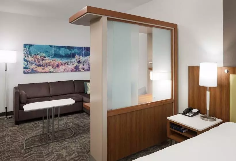 スタンダードスタジオ, Springhill Suites By Marriott Orlando At Seaworld