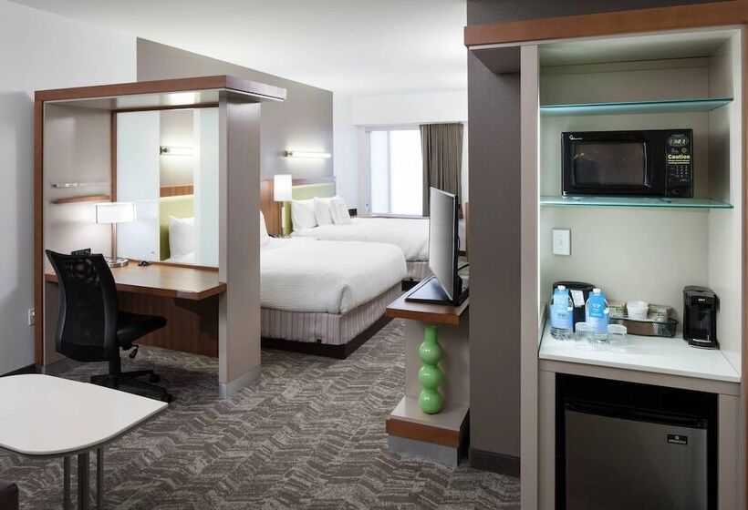 标准工作室, Springhill Suites By Marriott Orlando At Seaworld