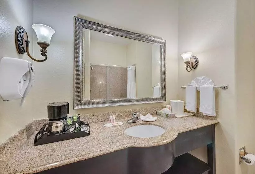 Standard-huone, Super 8 By Wyndham Hidalgo At La Plaza Mall & Mcallen Airport