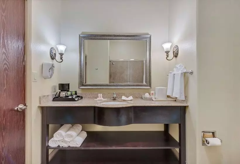 Standard-huone, Super 8 By Wyndham Hidalgo At La Plaza Mall & Mcallen Airport
