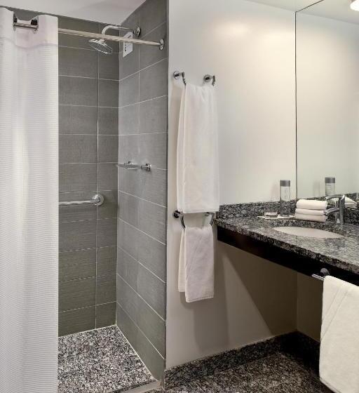 身障者適用スタンダードルーム, W Boston