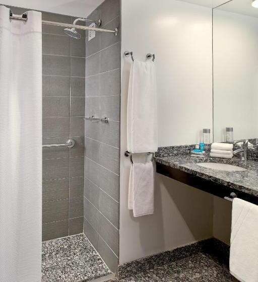 身障者適用キングサイズベッドルーム, W Boston