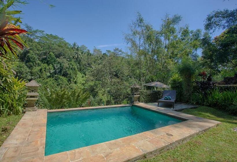 三卧室泳池别墅, Anahata Villas And Spa Resort