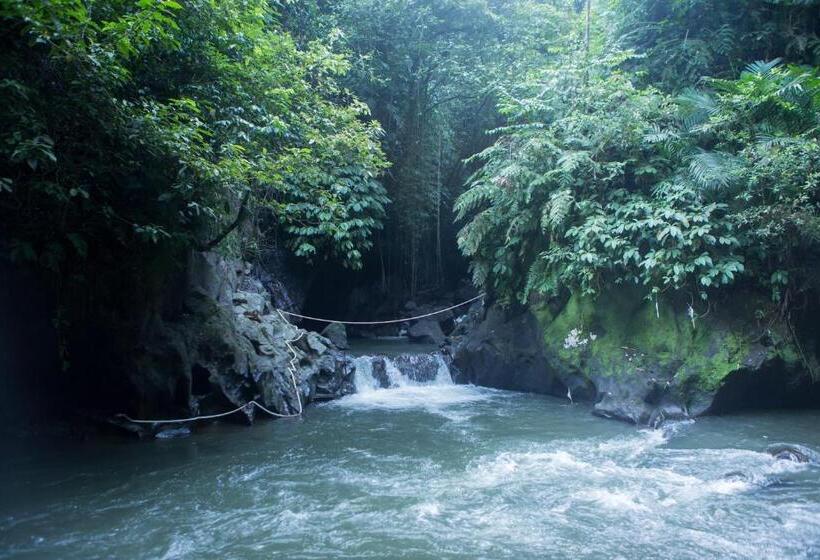 别墅: 1间卧室带游泳池, Anahata Villas And Spa Resort
