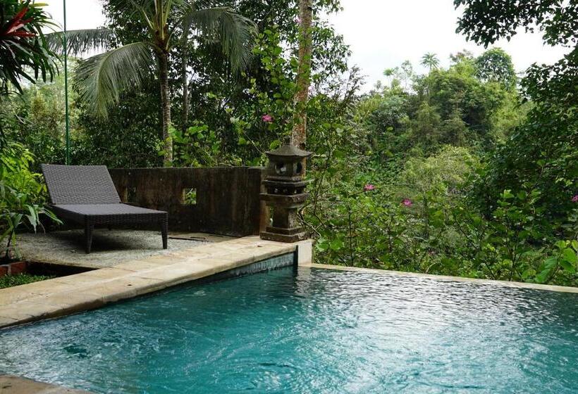 行政套房, Anahata Villas And Spa Resort