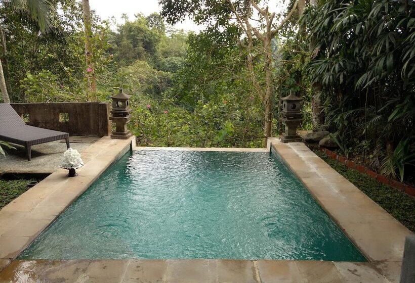 高级套房, Anahata Villas And Spa Resort