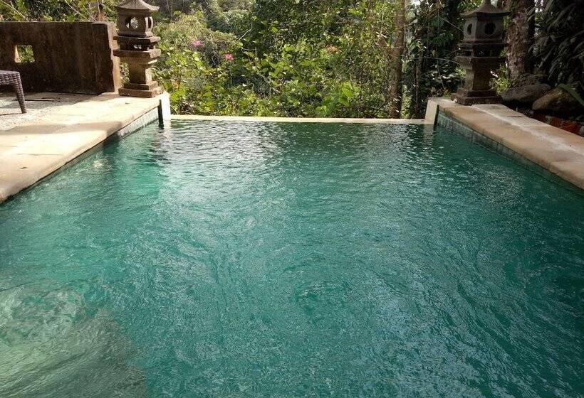 Люкс Премиум, Anahata Villas And Spa Resort