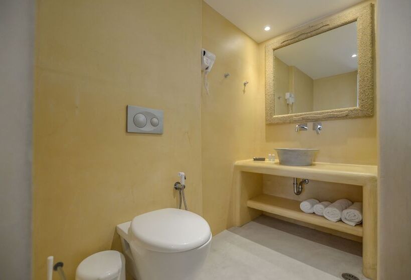 Номер Стандарт, Agios Prokopios