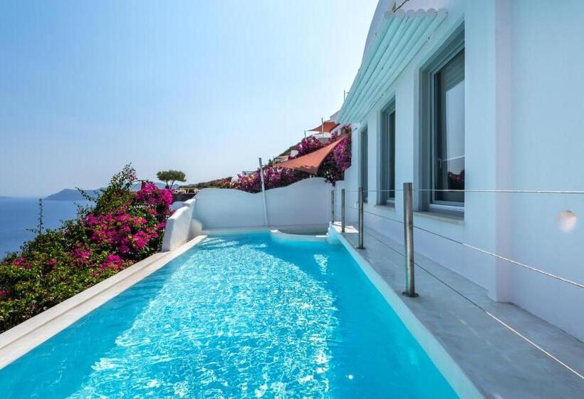 Вилла с 1 спальней и бассейном, Andronis Luxury Suites