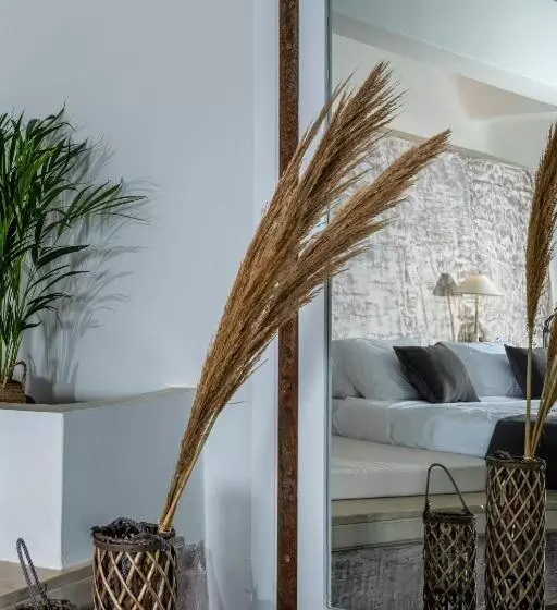 ویلای یک اتاق خوابه با استخر شنا, Andronis Luxury Suites