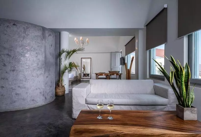 ویلای یک اتاق خوابه با استخر شنا, Andronis Luxury Suites