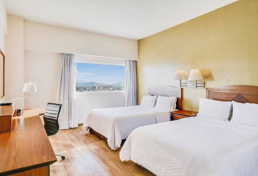 غرفة سوبيريور, Fiesta Inn Torreon Galerias