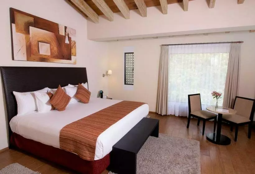 スタンダードルーム, Mision Grand Valle De Bravo