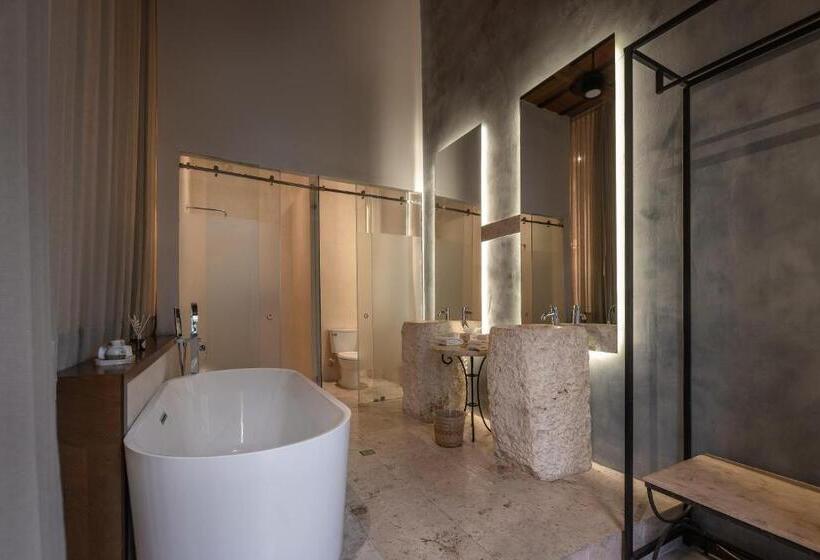 סוויטה נשיאותית, Piedra De Agua Merida